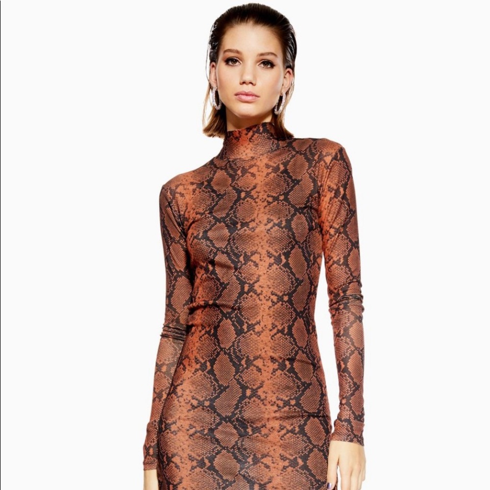Top shop snake print funnel mini dress